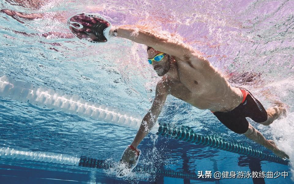 自由泳初级教学流程_游泳入门技巧
