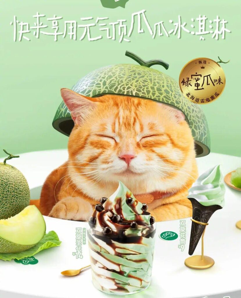 肯德基新广告小奇猫的歌是什么_食品行业该如何抓出宠物经济的热度和流量