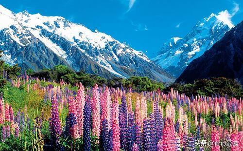 新西兰的首都及气候_奥克兰主要景点出游时间