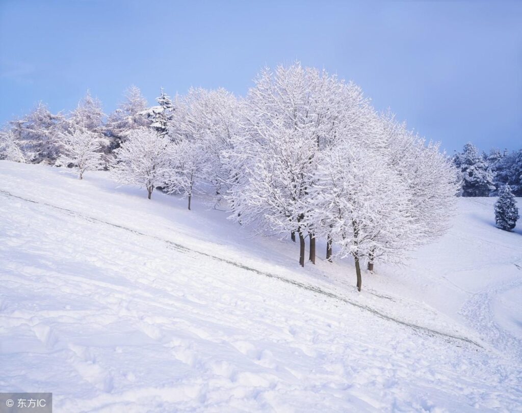 雪一片一片一片是什么歌_歌词是什么