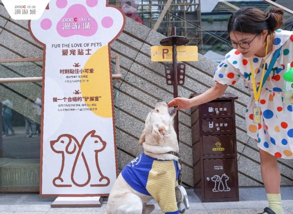 上海哪里有比较好的地方卖宠物狗的_宠物衍生品类哪里找