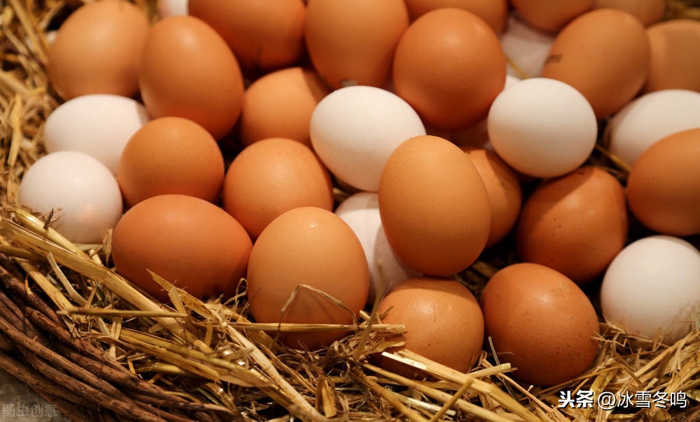 蛋清为什么叫蛋白_蛋里的烹饪故事