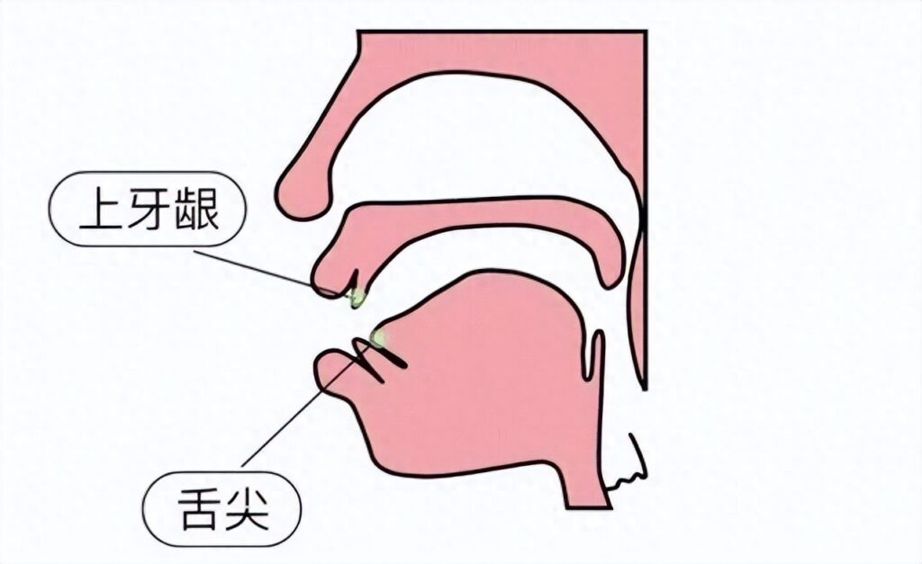 后鼻韵母有哪几个，前后鼻音区分