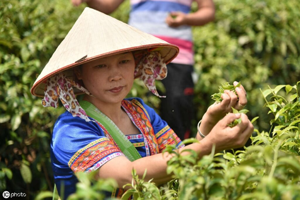 春光临渡口打山东一地名，地理地名集合