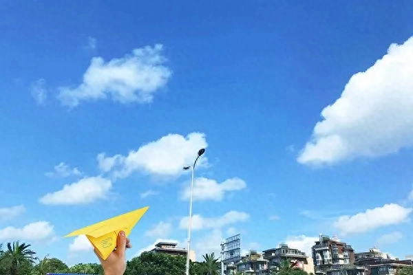 形式发票是什么意思，形式发票解释