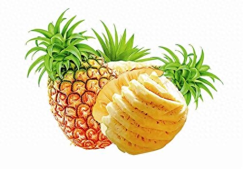为什么菠萝又叫凤梨，关于凤梨的知识