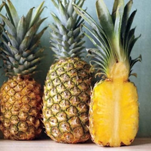 为什么菠萝又叫凤梨，关于凤梨的知识