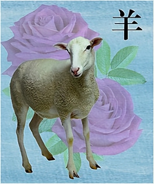 惊天霹雳打一生肖是什么，十二生肖的由来说法