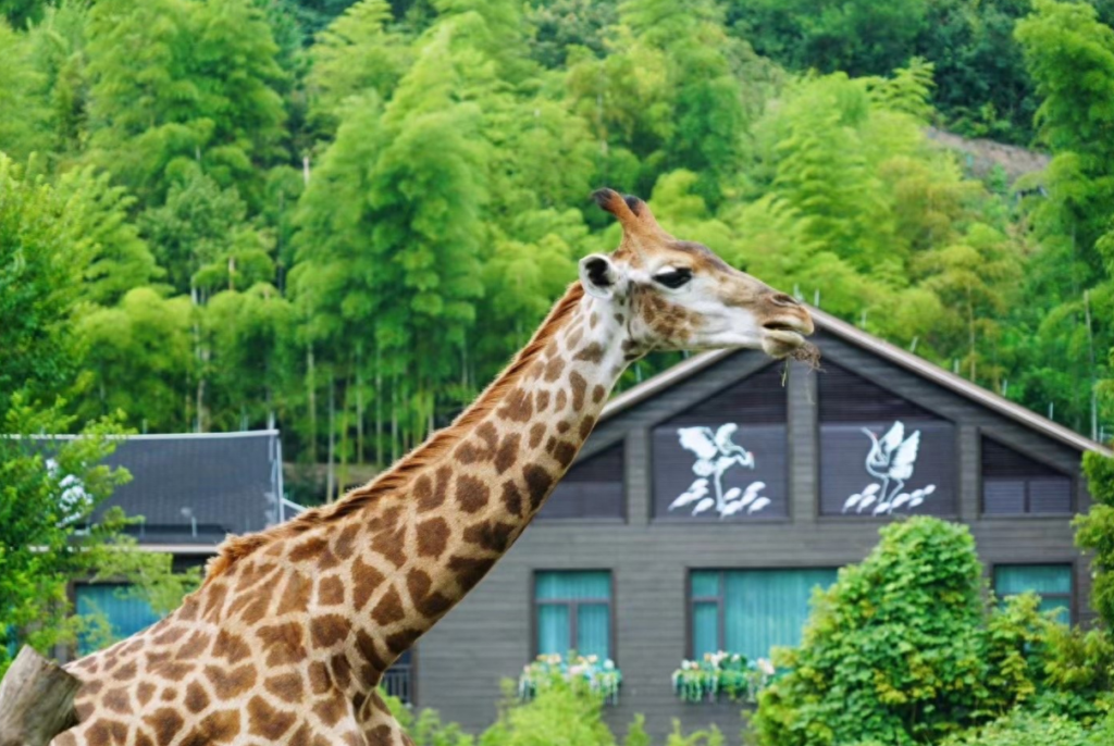湖州旅游景点攻略，湖州旅游景点有那些