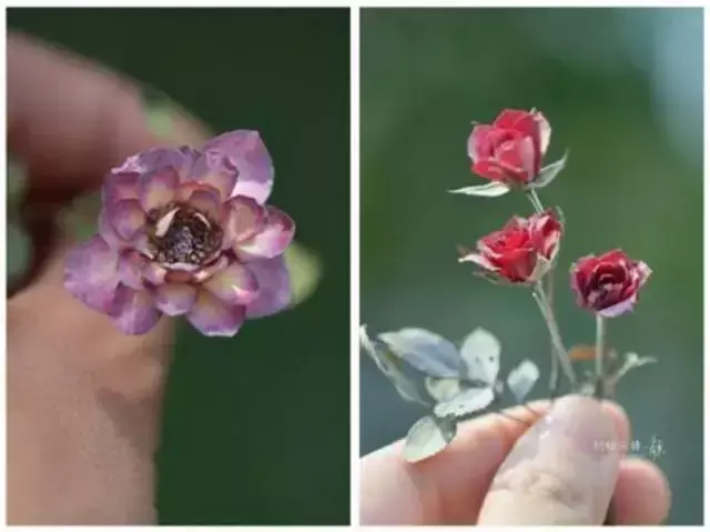 云南叶脉干花制作过程是怎样的，如何制作干花