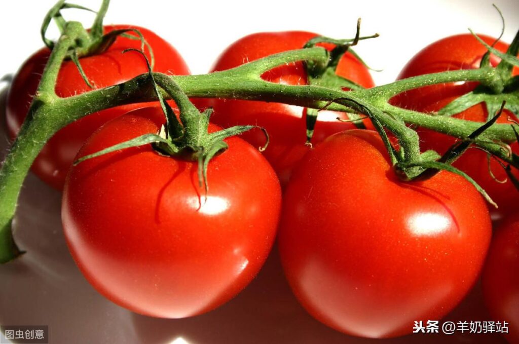番茄红素和锌硒宝有什么作用，能治疗什么疾病
