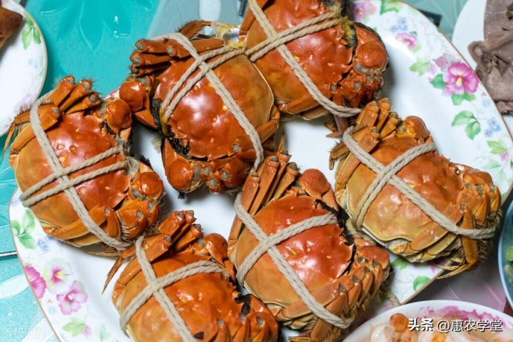 青岛螃蟹多少钱一斤？各地大闸蟹几月份上市？