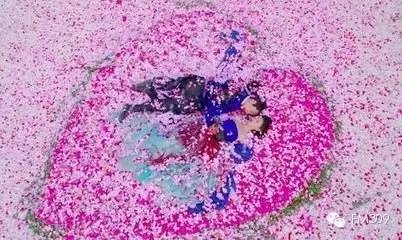 穿越之前世太子妃视频里的歌叫什么？太子妃升职记全部歌曲