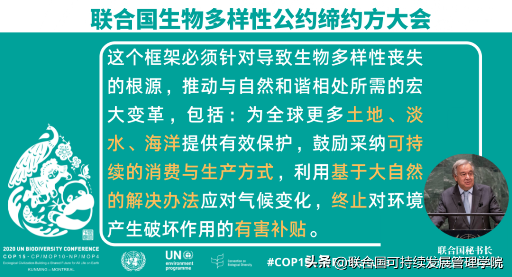 COP15什么意思？COP15的预期成果是什么？