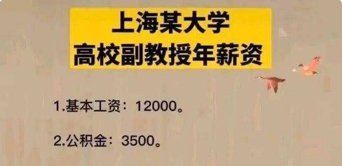 上海副教授工资待遇表单，同样是老师收入差距怎么这么大？