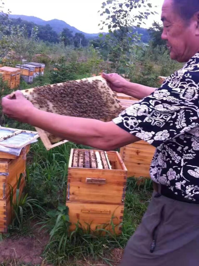 哈尔滨哪卖好蜂蜜？优势的蜂蜜怎么选？