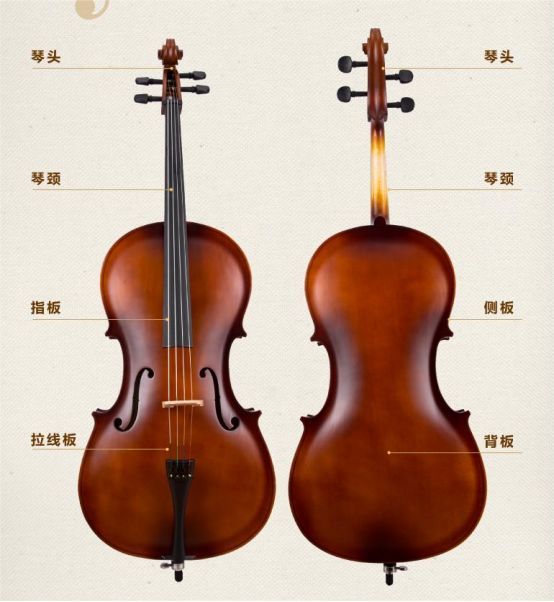 买大提琴的时候怎么选择呢?市面上品质比较好的四大品牌特点