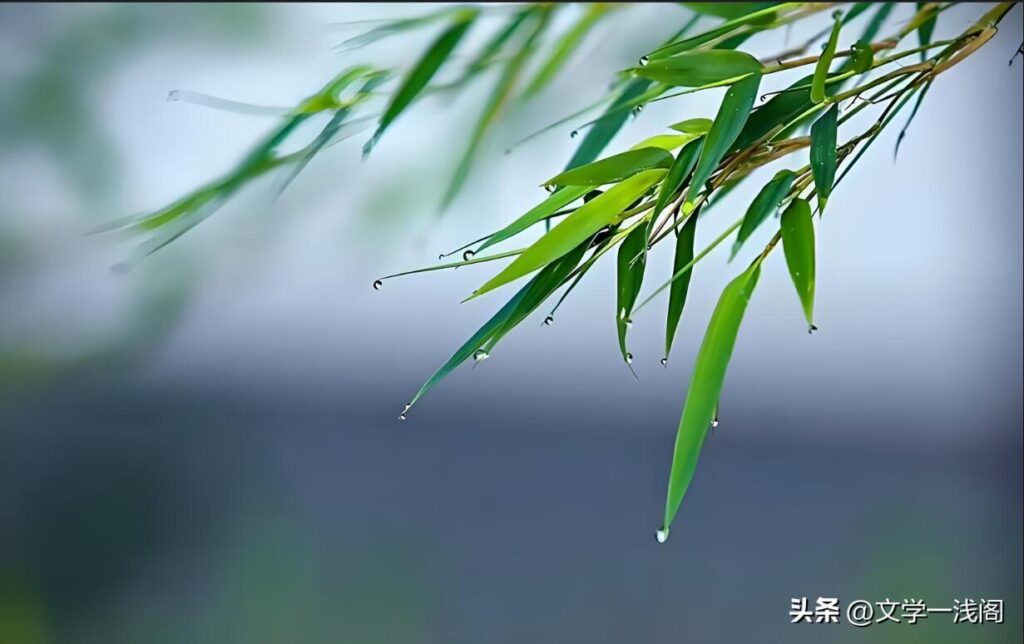 饮鸩止渴是什么意思？鸩的读音是什么？