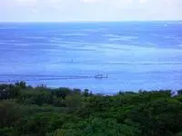 什么是海洋资源？基本介绍分类