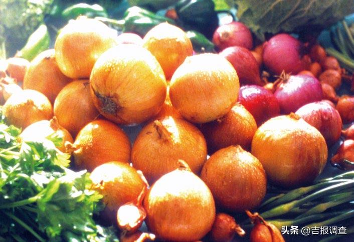 鼠疫电影有什么？预防鼠疫故事情节简介