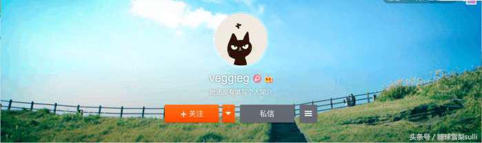 veggieg是什么意思_娱乐圈明星的微博名背后的故事