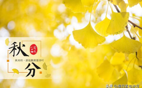 秋分的古诗四句，秋天经典诗句